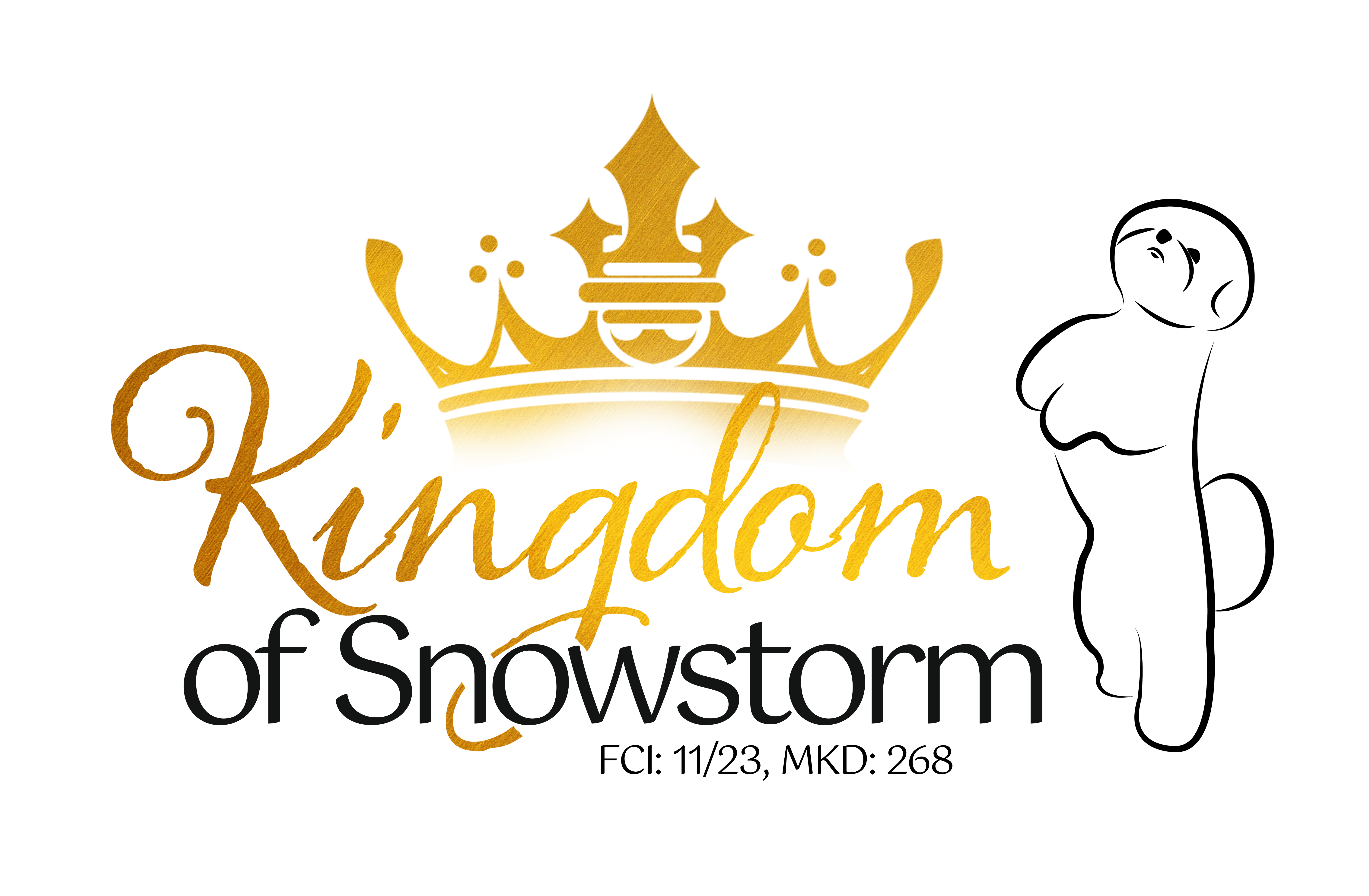 Kingdom of Snowstorm FCI 11/23 MKD 268